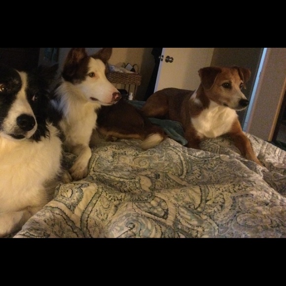 Meet your Posher, Philip - Picture 2 of 3